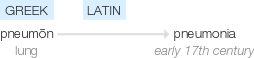 Ety img pneumonia.png