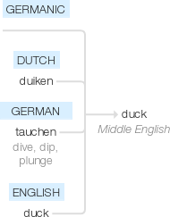 Ety img ducking.png
