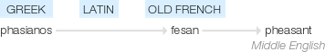 Ety img pheasant.png