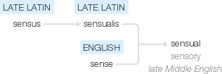 Ety img sensual.png