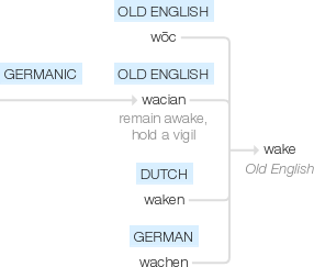 Ety img woke.png