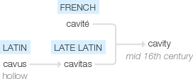 Ety img cavity.png