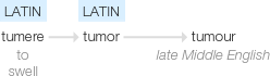 Ety img tumor.png