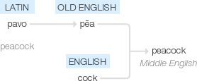 Ety img peacock.png