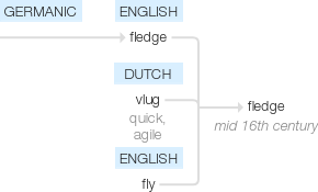 Ety img fledged.png