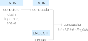 Ety img concussion.png
