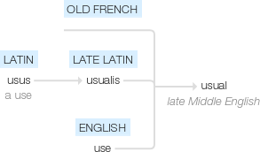 Ety img usual.png
