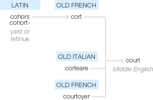 Ety img court's.png