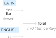 Ety img floral.png