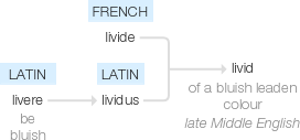 Ety img livid.png