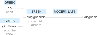 Ety img diagnosis.png