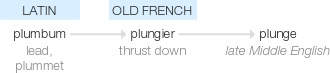 Ety img plunge.png