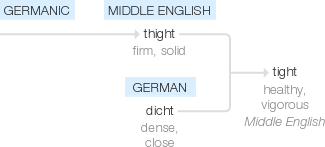 Ety img tightly.png