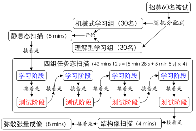 文件:汉字理解型学习研究-实验流程图.png