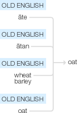 Ety img oat.png