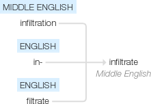 Ety img infiltrate.png