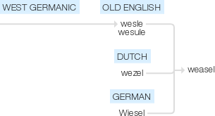 Ety img weasel.png