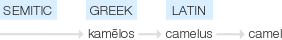 Ety img camel.png