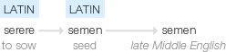 Ety img semen.png