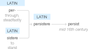 Ety img persist.png
