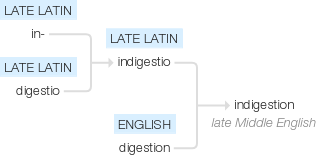 Ety img indigestion.png