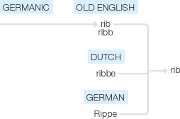 Ety img rib.png