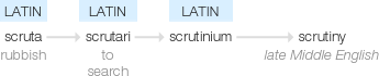 Ety img scrutiny.png