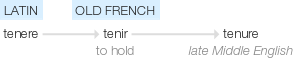 Ety img tenure.png