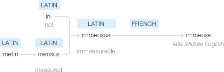 Ety img immensely.png