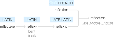 Ety img reflection.png