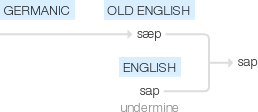 Ety img sap.png