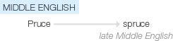 Ety img spruce.png