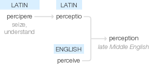 Ety img perception.png