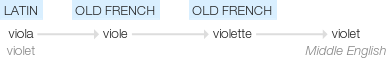 Ety img violet.png