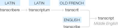 Ety img transcript.png