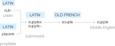 Ety img supple.png