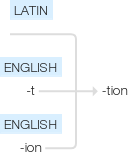 Ety img tion.png