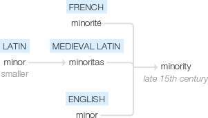 Ety img minority.png
