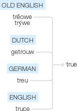 Ety img true.png