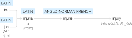 Ety img injury.png