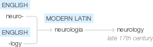 Ety img neurology.png