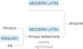 Ety img atropine.png
