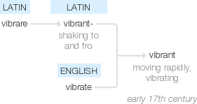 Ety img vibrant.png