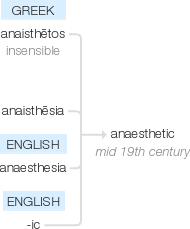 Ety img anesthetic.png