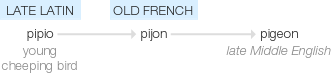Ety img pigeon.png
