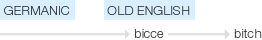 Ety img bitch.png