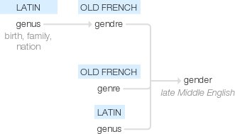 Ety img gender.png