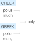 Ety img poly.png