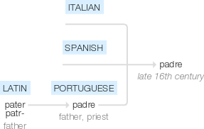 Ety img padre.png