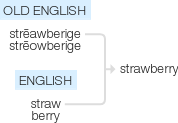 Ety img strawberry.png